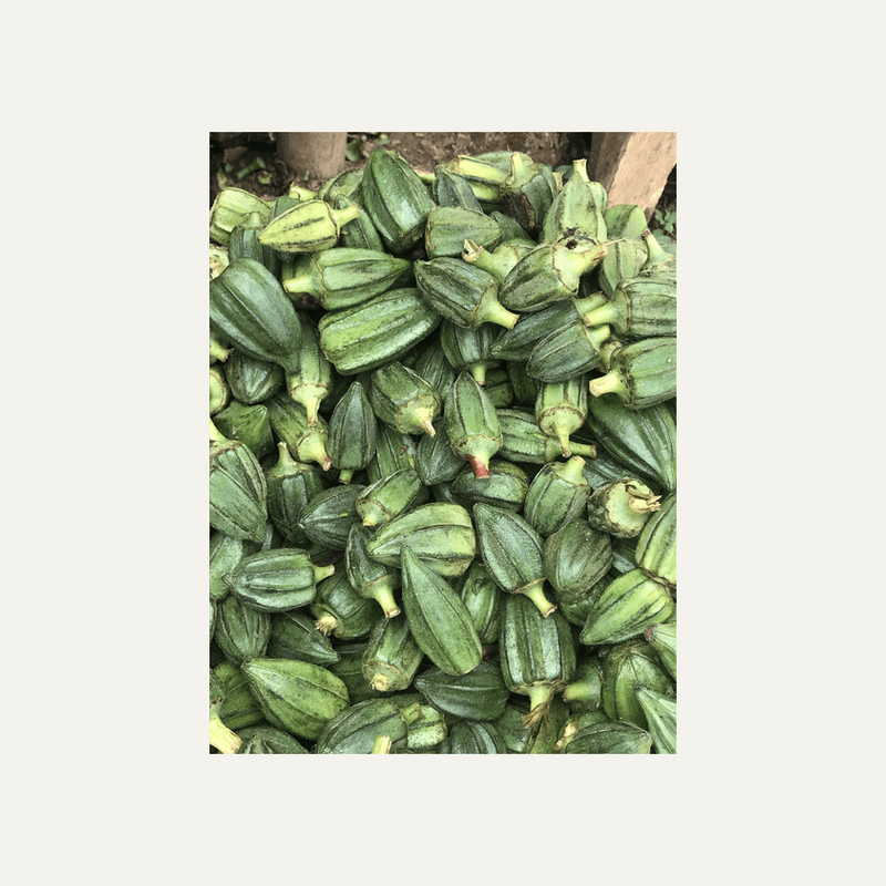 Ladyfinger