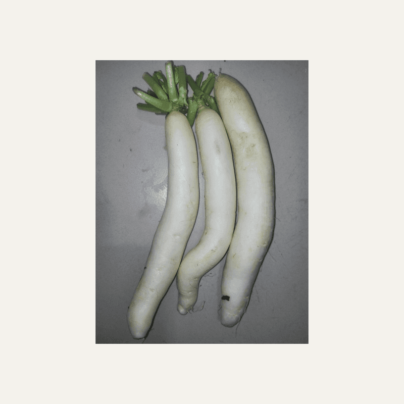 Radish