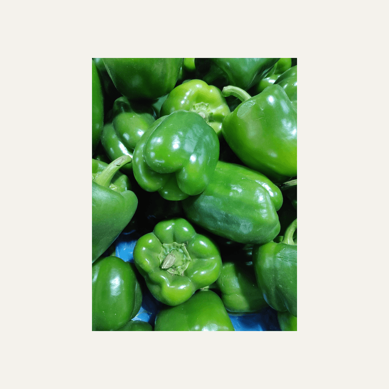 Capsicum