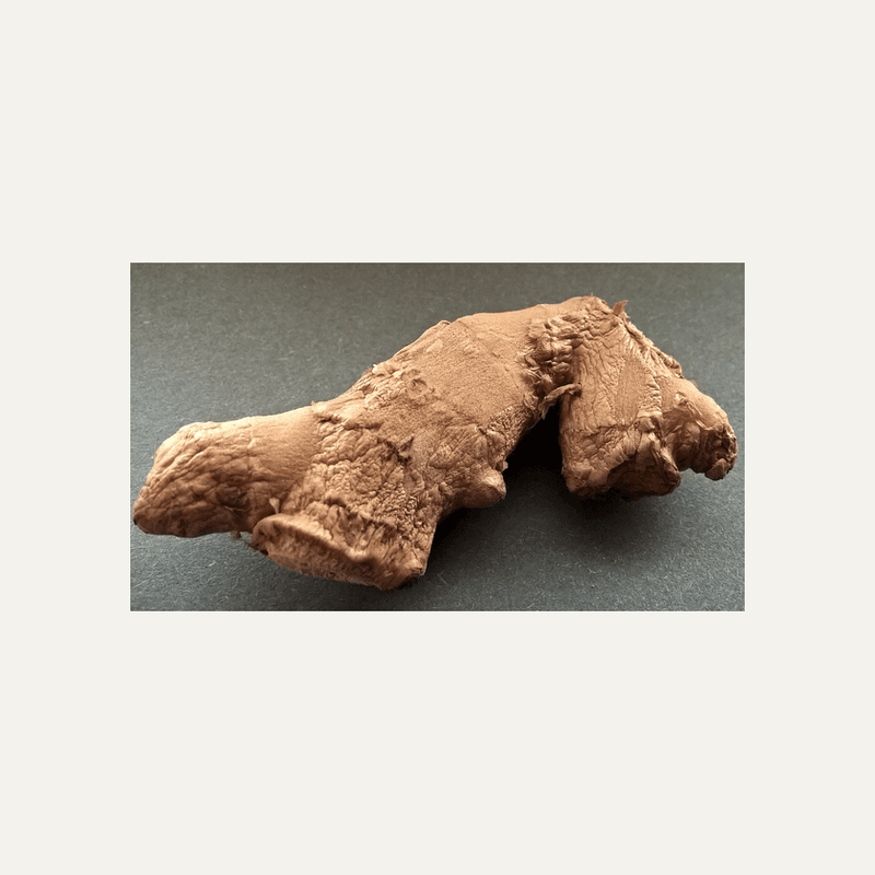 Ginger
