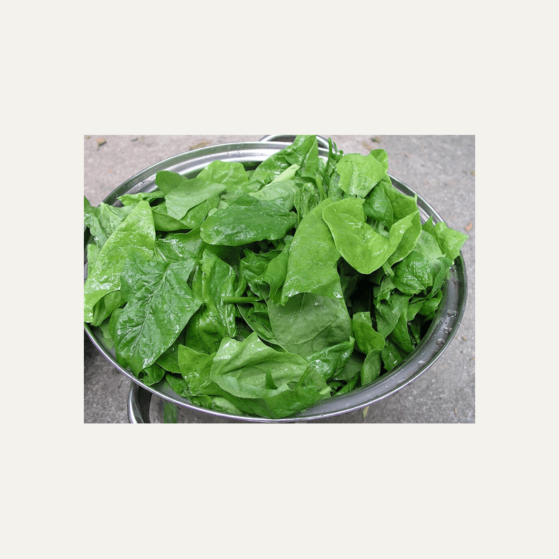 Spinach
