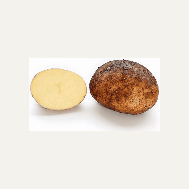 Potato